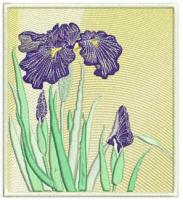 Iris Machine Embroidery Designs